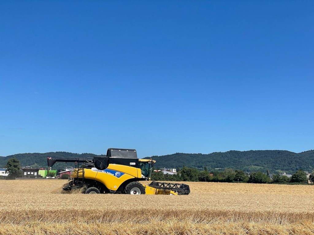 Photo Agricultural landscape